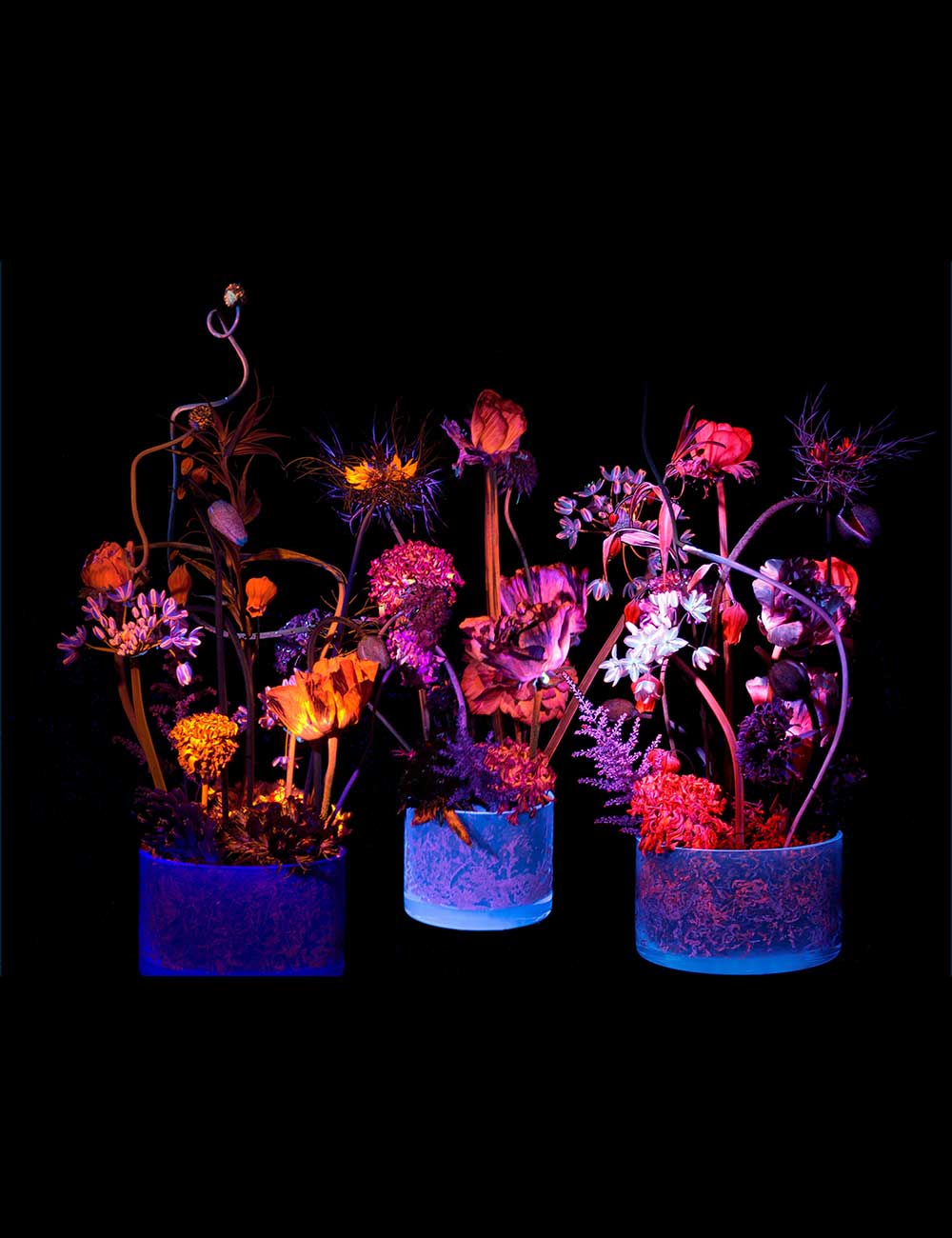 ブラックライト下で複数の花器が発光するインスタレーション作品