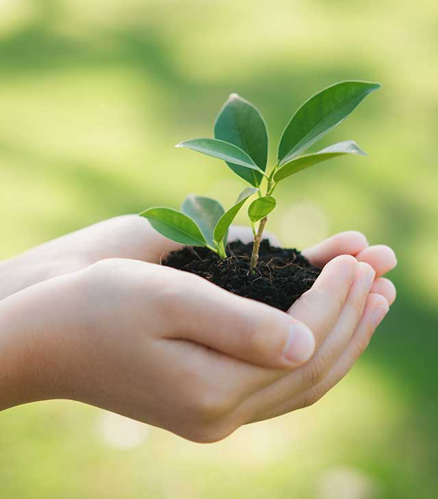 Sustainability Image