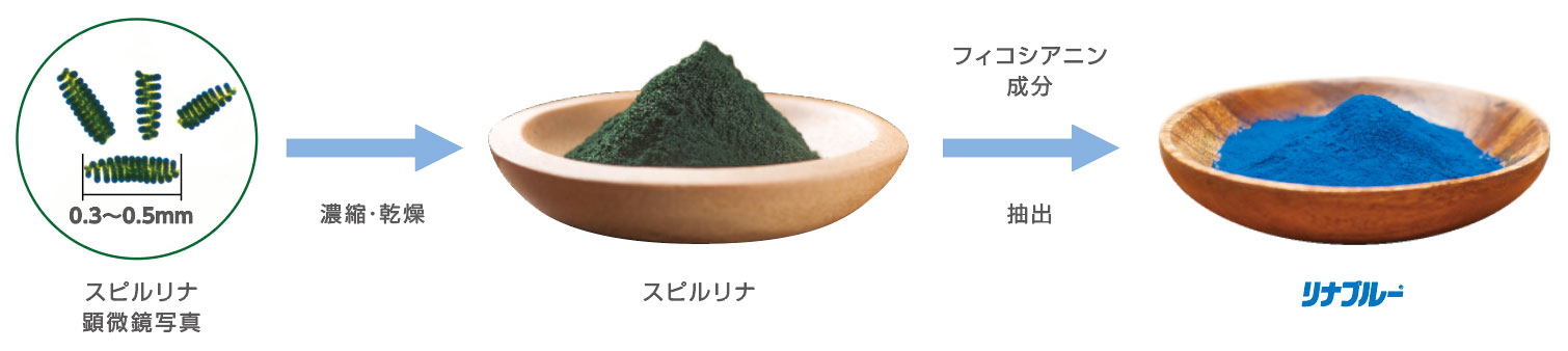 spirulina-LINABLUE