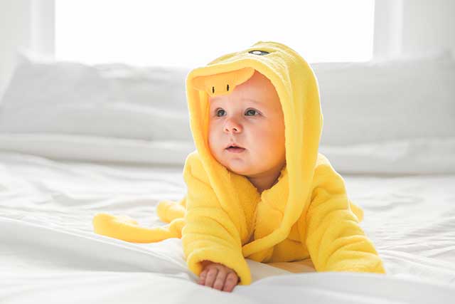 ポリエステル繊維 Polyester Fiber
