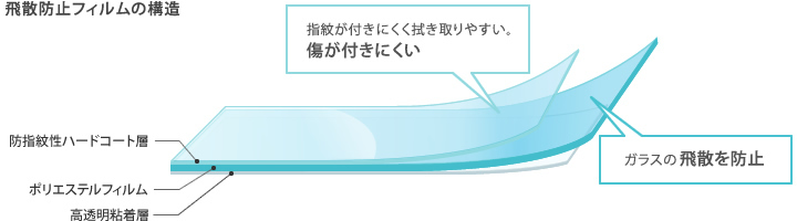 飛散防止フィルムの構造