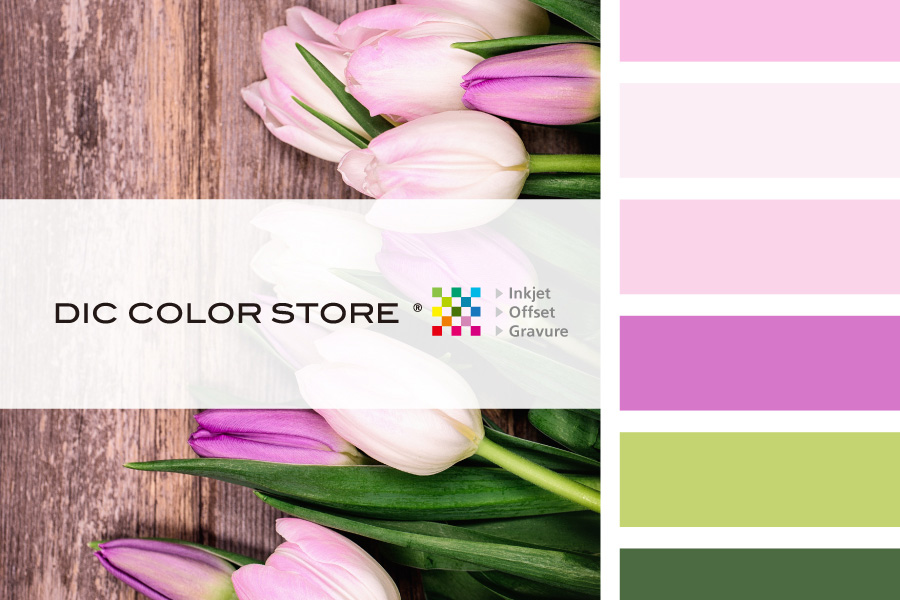 DIC COLOR STORE®