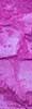 Color Sample