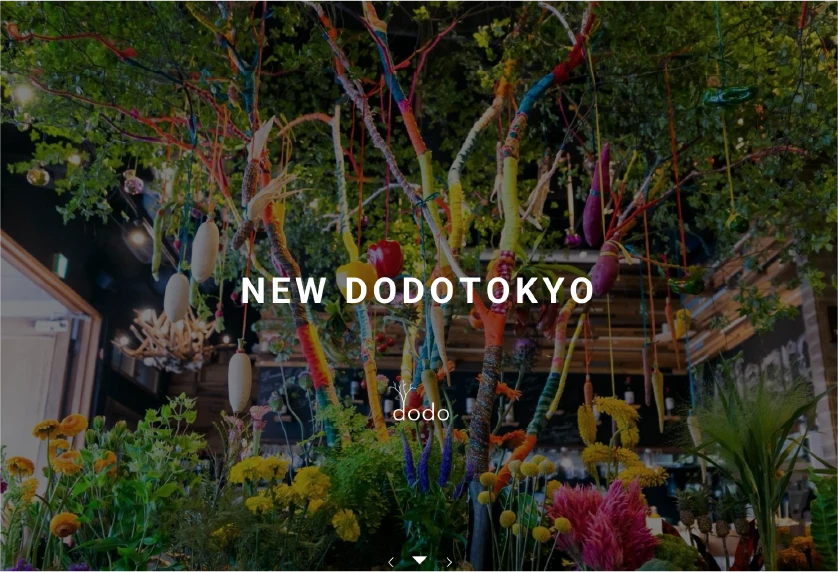 NEW DODOTOKYO