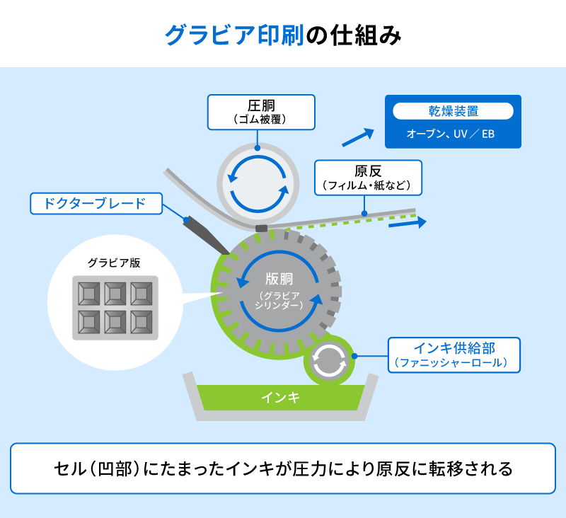 グラビア印刷の仕組み。インキパンからアニロックスロールが拾い上げたインキをドクターブレードで計量し、版胴（グラビアシリンダー）のセルに満たしたインキが圧胴の圧力で原反へ転写される流れを示す図。