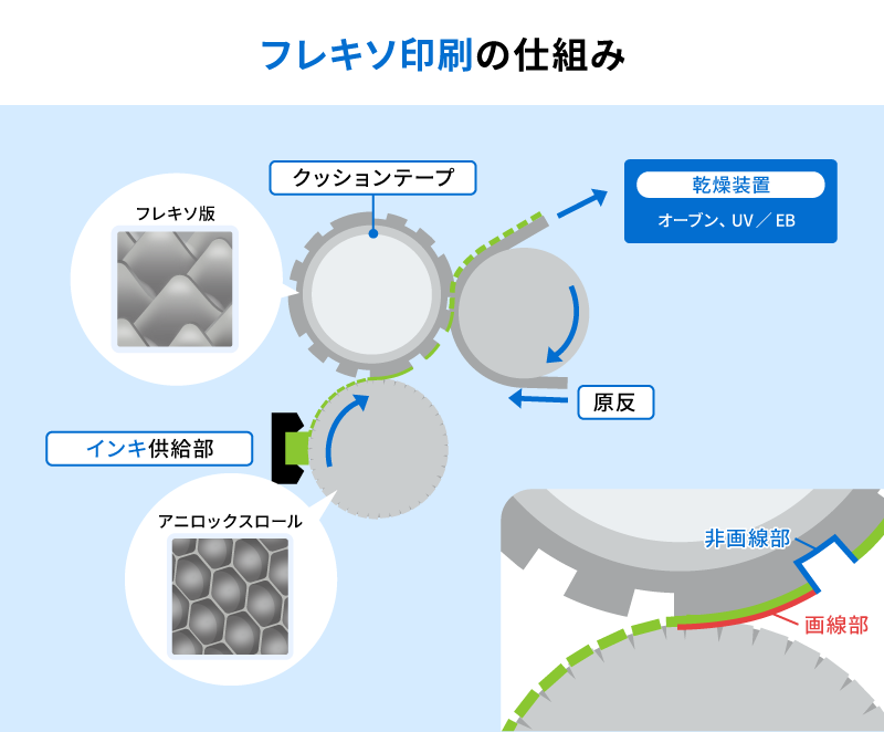フレキソ印刷の仕組み。インキ供給部からアニロックスロールで計量されたインキが、クッションテープを介して版胴からフレキソ版へ転写され、原反へ印刷される流れを示す図。