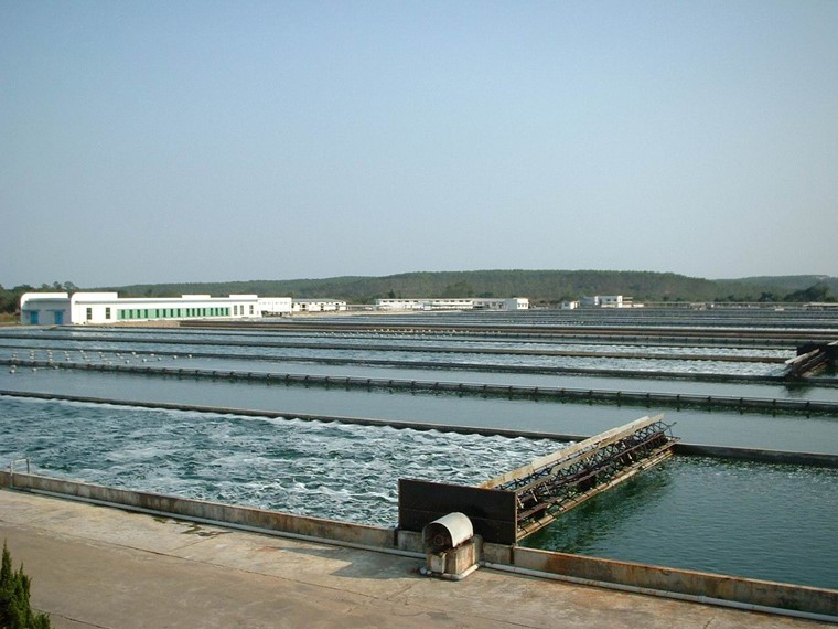 海南迪愛生微藻有限公司（中国・海南島）