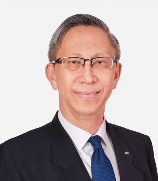DIC Asia Pacific’s Activities