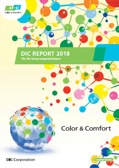 DIC Report 2018 (Complete Version)